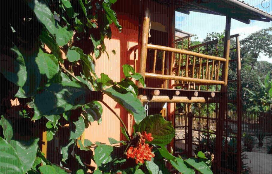 Concha Tropical Flat Apartman Itacaré Kültér fotó