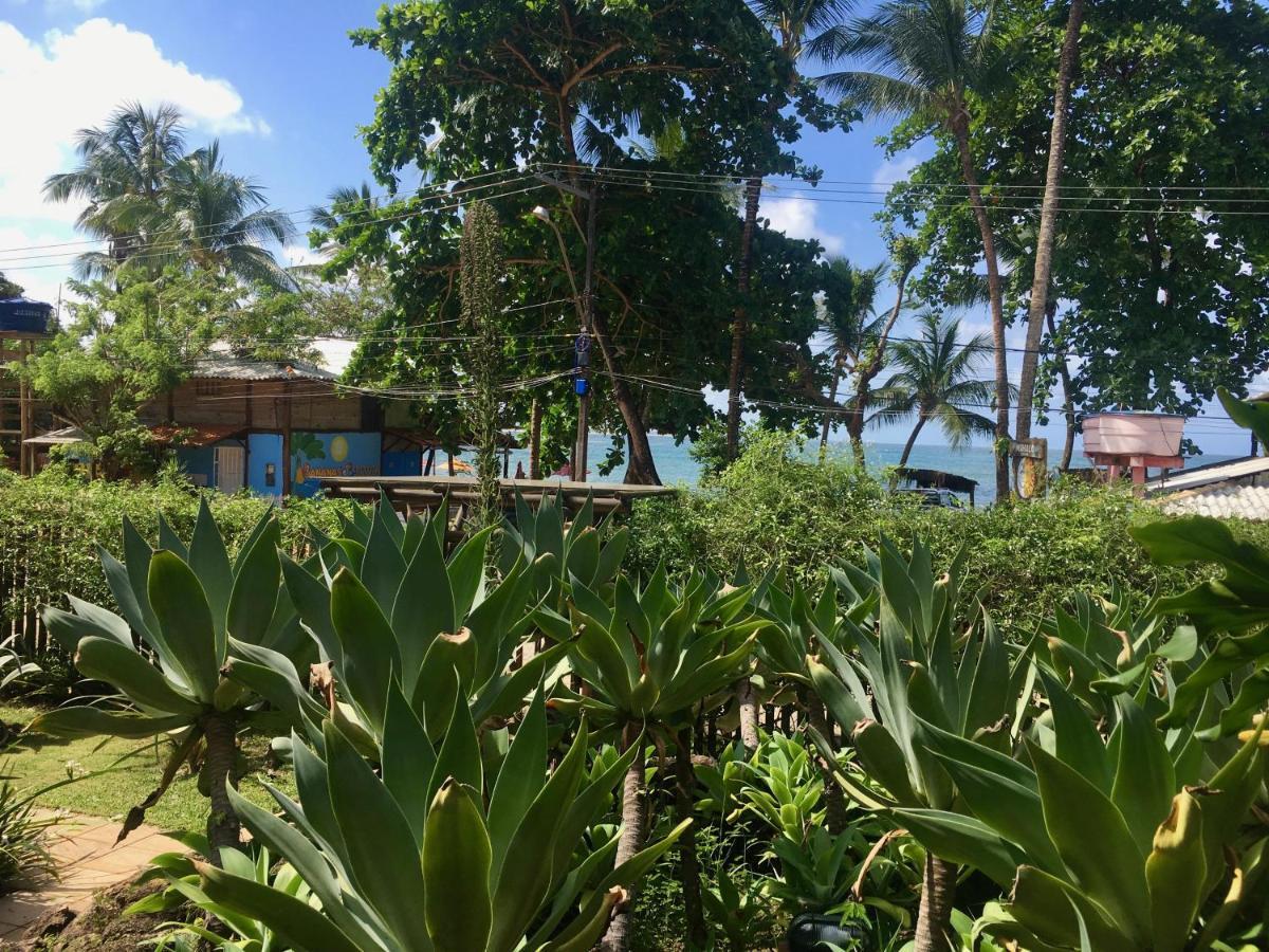 Concha Tropical Flat Apartman Itacaré Kültér fotó